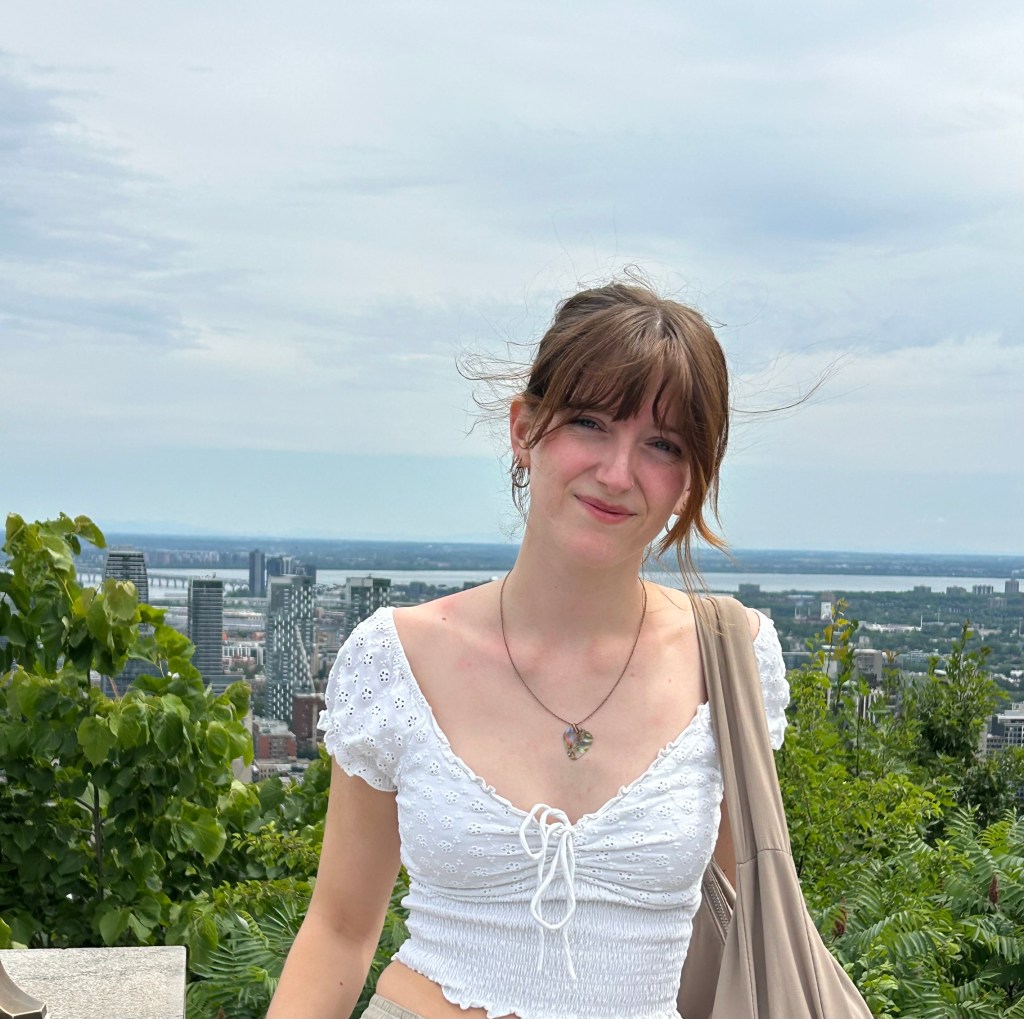 view from mont royal in Montreal over the city
